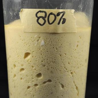 80% hydration dough after 24+ hour fermentation.